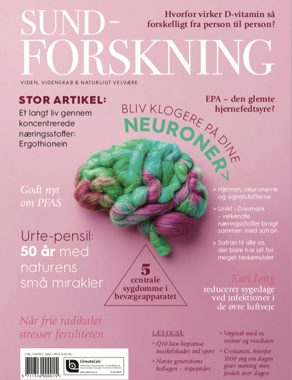 Magasin - Healthy Research